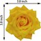 Fake Flower Heads for Craft,3.8" Yellow Rose-36 Pcs Silk Rose Heads, (Yellow, 3.8) 2.7"D x 3.8"W x 2.7"H
